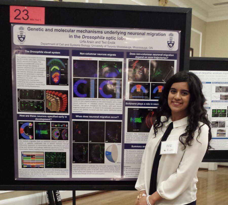 Congrats to @urfarain for winning a poster prize at the annual old mill #devbio retreat! #teamerclik <a href="/UTMBiology/">UTM Biology</a>