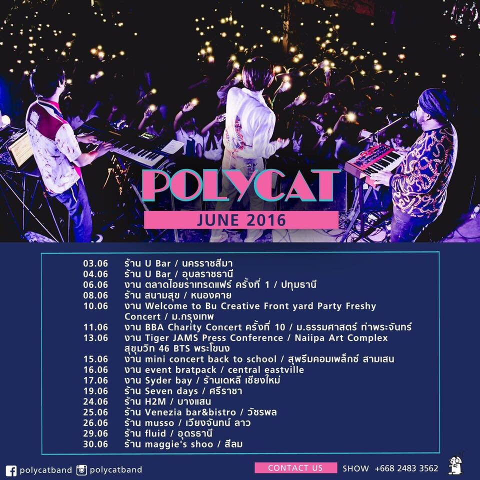 polycatfc's tweet photo. ตารางงานเดือนนี้ มาเจอกันได้นะ 💕 https://t.co/5DxtzKILrF
