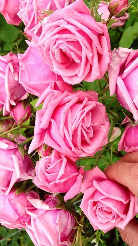 HUGE thank you from <a href="/FTMDX/">FashionTextilesMDX</a> <a href="/FDMDX/">FashionDesignMDX</a> to <a href="/ShariMakeUp/">Shari Rendle</a> &amp; team 4 #mdxfashion16 #mdx16 <a href="/MiddlesexUni/">Middlesex University</a> #makeup #beauty X X