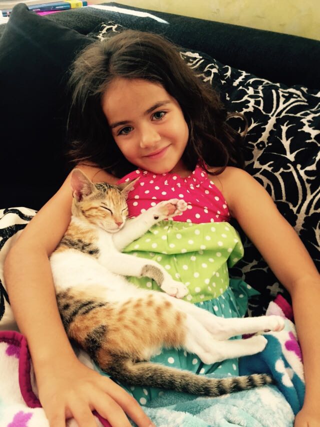 tag_rubymae's tweet photo. Bella &amp; Chili our #kitten who loves to be cuddled always.We secured her safety &amp; identity by using Tag-e.#CATurdate https://t.co/dz01MGWWLV