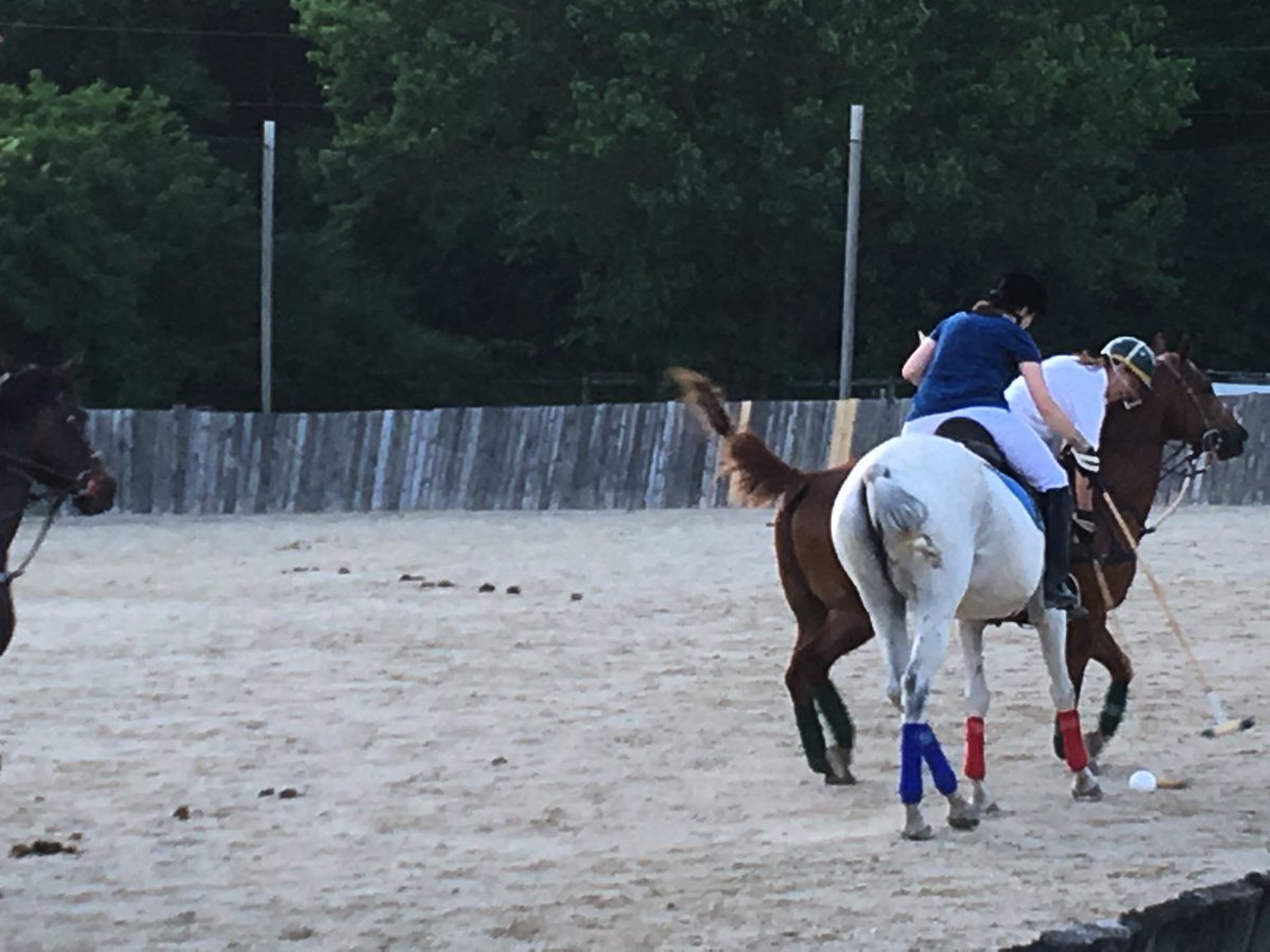 Village of MG tweet media