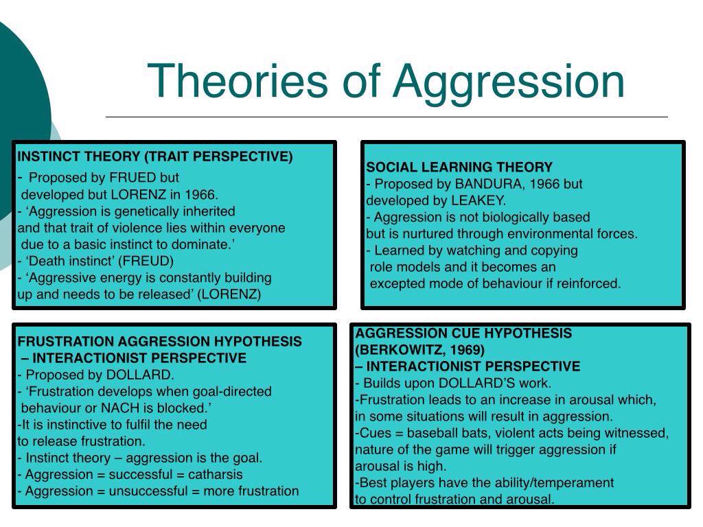 Aggression & Violence Social-Interactionist Perspectives 