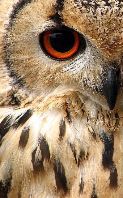 _salomo's tweet photo. https://t.co/45nAstnFE4
