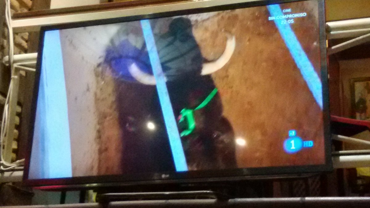 Aibabur's tweet photo. Antes de los rejones vamos a ver al maestro Perera con el de FuenteYmbro por @La1_tve en el @JARRITUSMADRID https://t.co/3w1srZDDgt