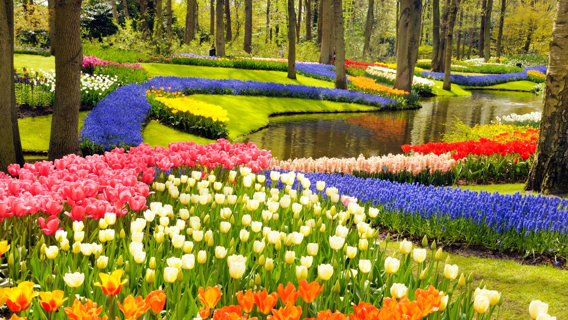 Risultati immagini per keukenhof gardens