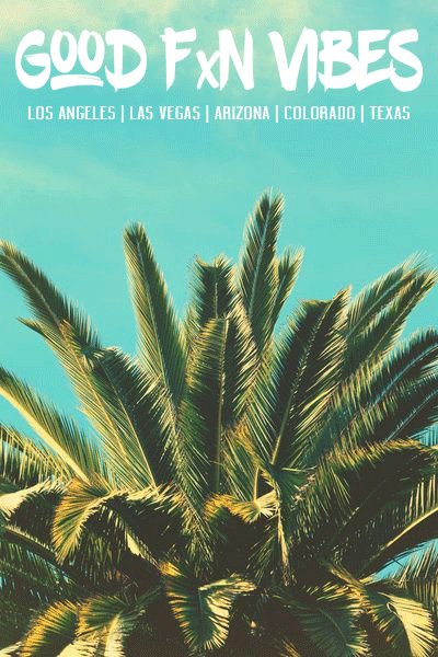 Tanya Monroe tweet media