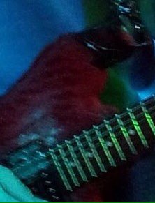 RIP furry red guitar