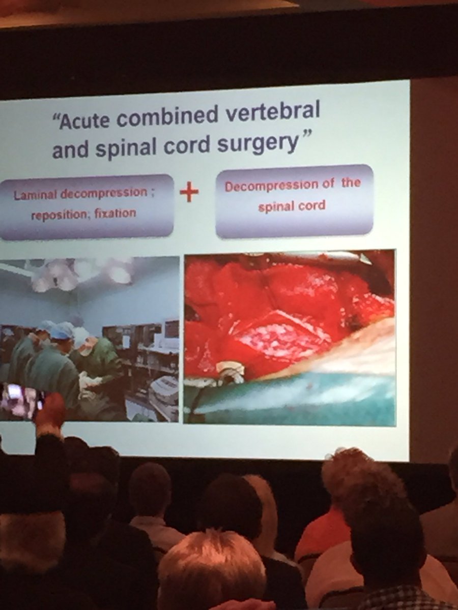 CellSurgicalNet's tweet image. #CellSurgicalNet Dr. Zhu Hui lecture about spinal cord injuries and SVF. #StemCells #paralysis #hope