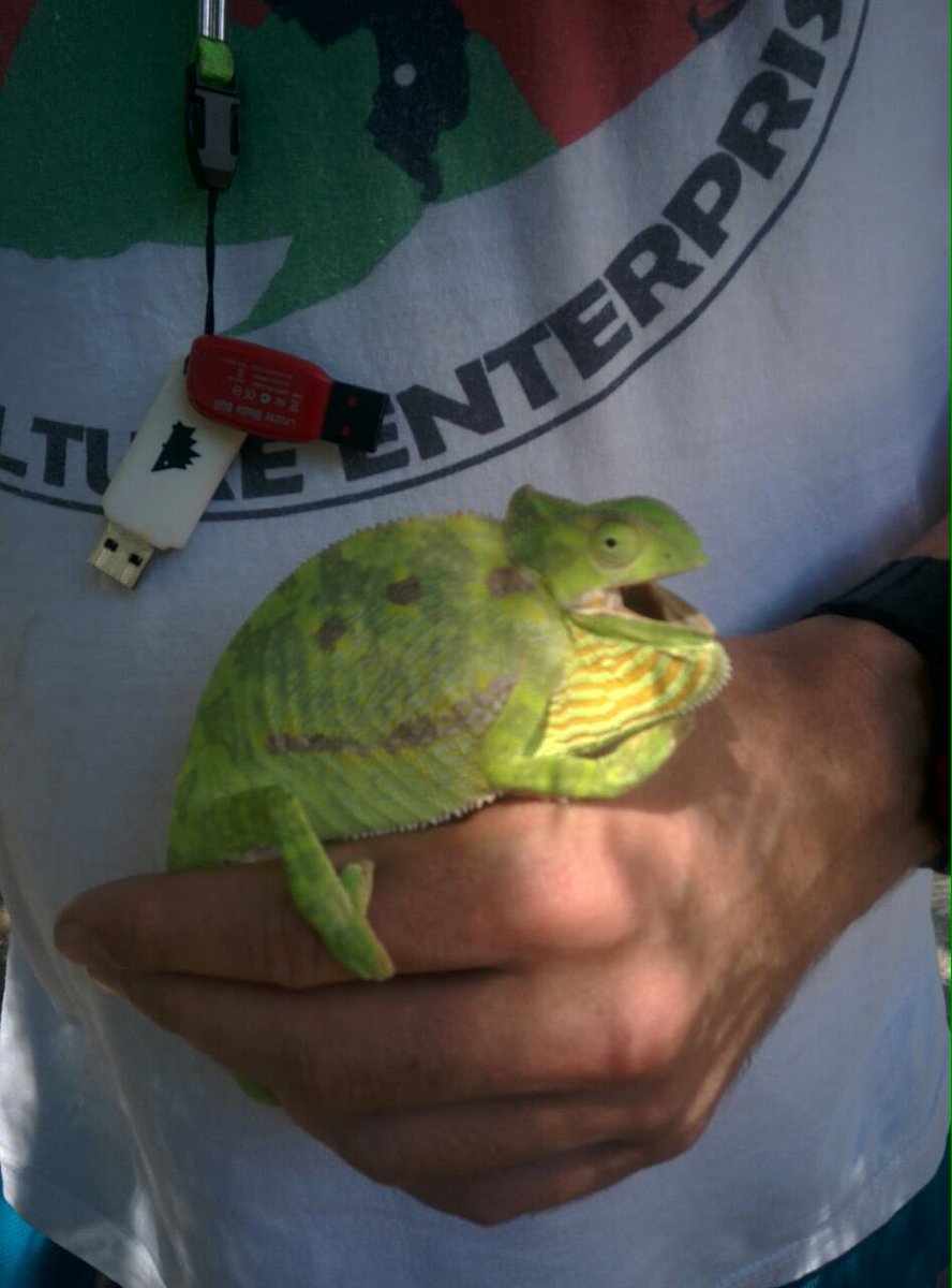 Shift IT tweet media