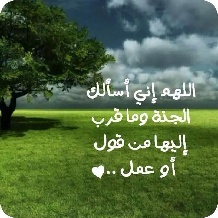 ibr02him tweet picture