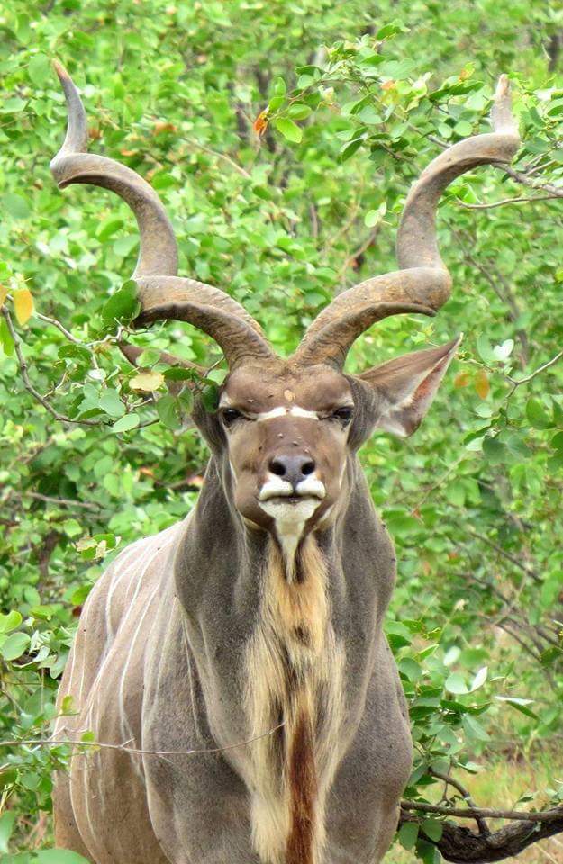 runnergert's tweet image. 