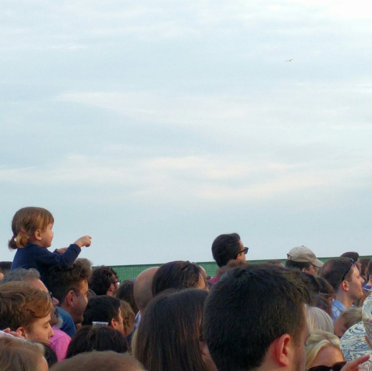 ytia's tweet photo. Brian Wilson e bambina #primaverasound #PS16 #PetSounds50 https://t.co/ZAp7URPNDe