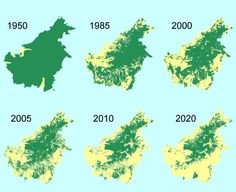 safeamazon's tweet photo. If we do not do something quickly it is predicted that the Amazon could shrink by 85% due to climate change. https://t.co/Ub0EeYoLtu