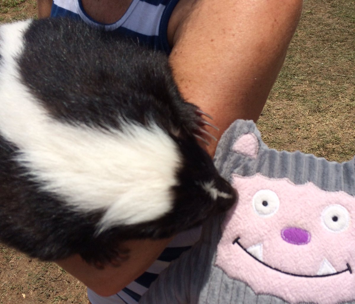 PajamaMonsters's tweet image. Stinky met someone stinkier! #designerPlush #coolToy #loveYourMonster