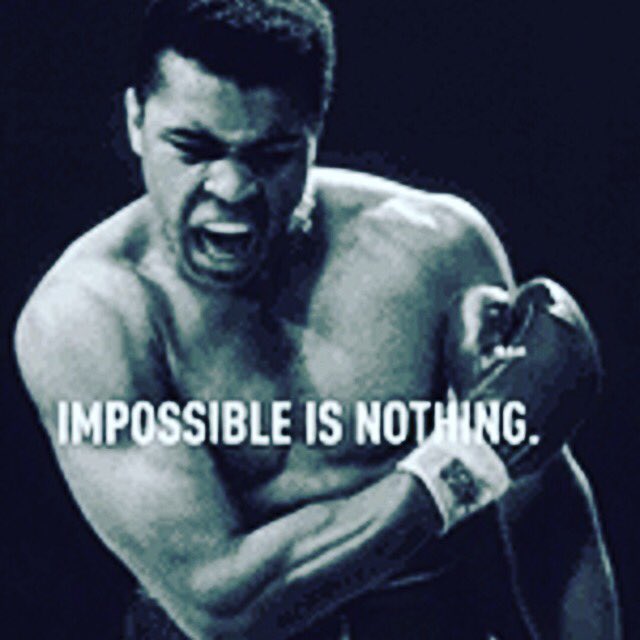 Trainbright tweet media