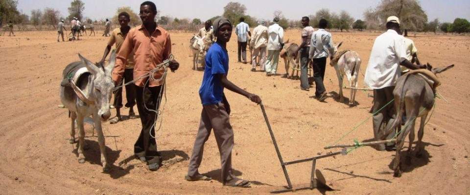 SaveDarfur's tweet photo. More than 6,000 #Syrians have settled in #Sudan. https://t.co/ncDvWyihVi https://t.co/yWfZ1wy8fU