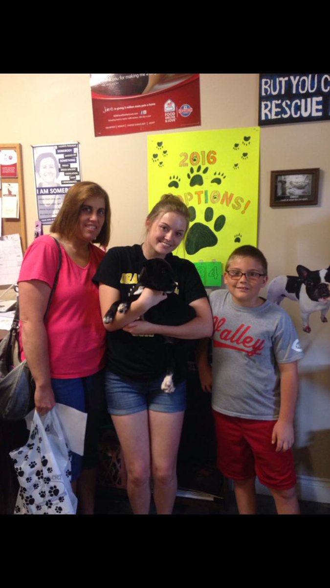 MC_HumaneScty's tweet photo. Frankie was adopted too! #FindingForeverHomes #AnimalRescue #savinglives https://t.co/o8XRTbocbT