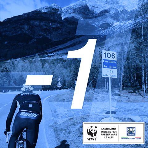 amici_lupo's tweet photo. -1 left to #GranFondo #StelvioSantini. All the charity bibs for #WWF #wolf protection project are sold out! https://t.co/hdj4nlKjbv
