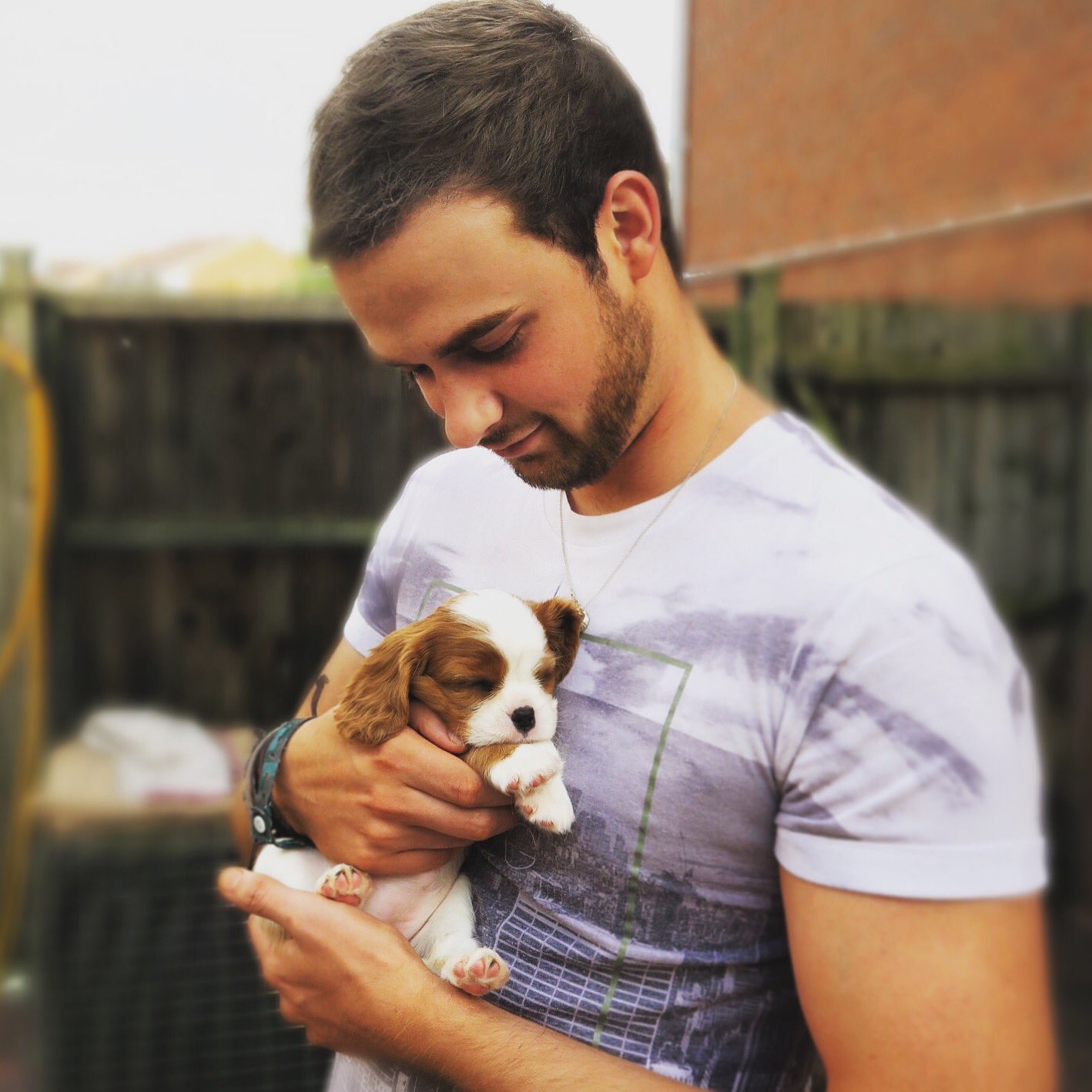 Ali-A on Twitter: "Say hello to "Eevee" our new puppy 