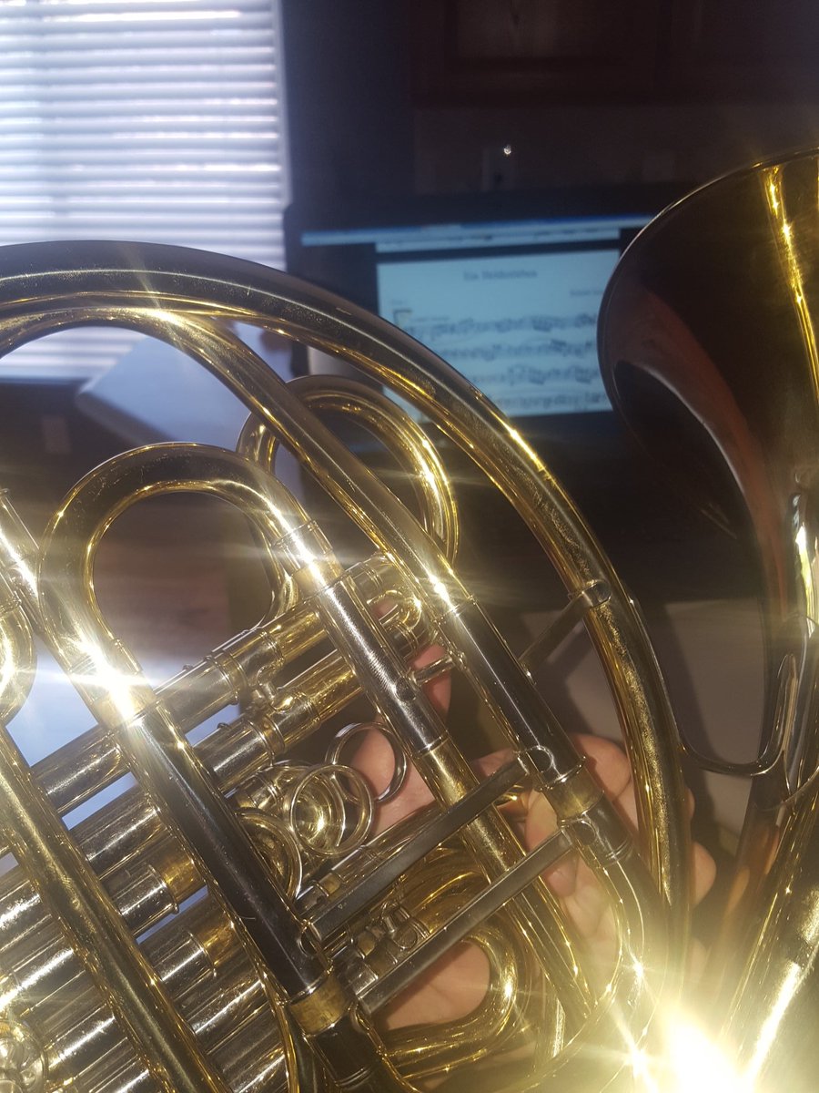tothediscotek's tweet image. Just finished #Auditions for #thedesertwinds and I am beyond excited for the opportunity to go to #TheMidwestClinic
