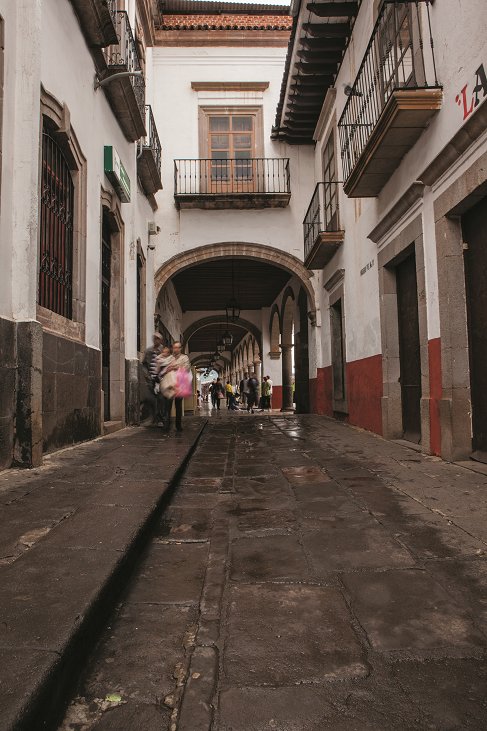 Visit México tweet media