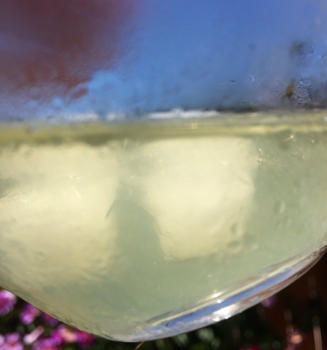 GabeSaglie's tweet photo. Hey @LynetteRomero! Not sure why, but I just made myself a #margarita & thought of you! #Damiana #saturdaysipper https://t.co/U7kIRjwFmh