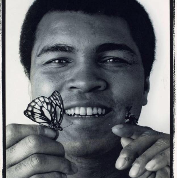 Three of my favorites. The butterfly, the bee, and Muhammad Ali. Ahh, Rumble, young man, Rumble