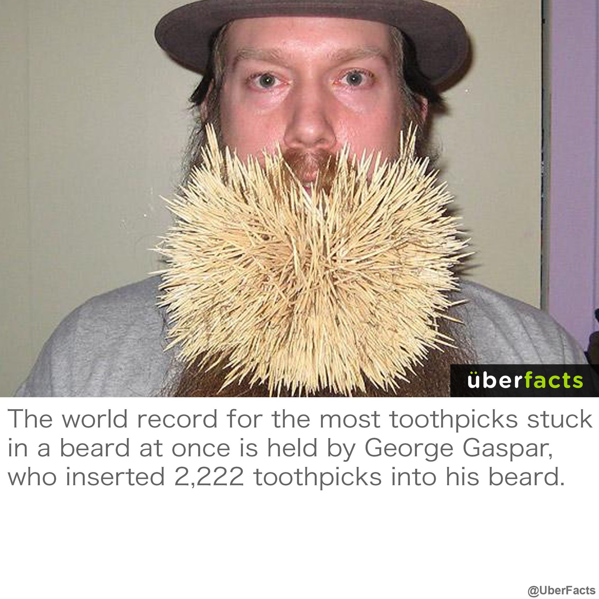 Man sets world record with beard, toothpicks