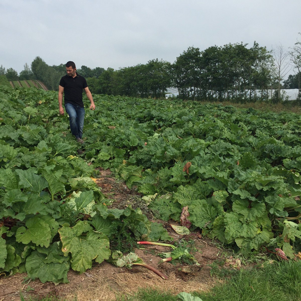 WendTolley tweet media