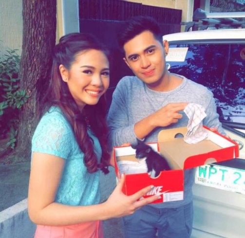 stan_thaiGl's tweet photo. @StarCinema @nenengJ_ pang ilang rescue n bng kittens 2 Jea @superjanella u hav how many cats n,12 nb? @marlo_mortel https://t.co/53J7E7Hdxw