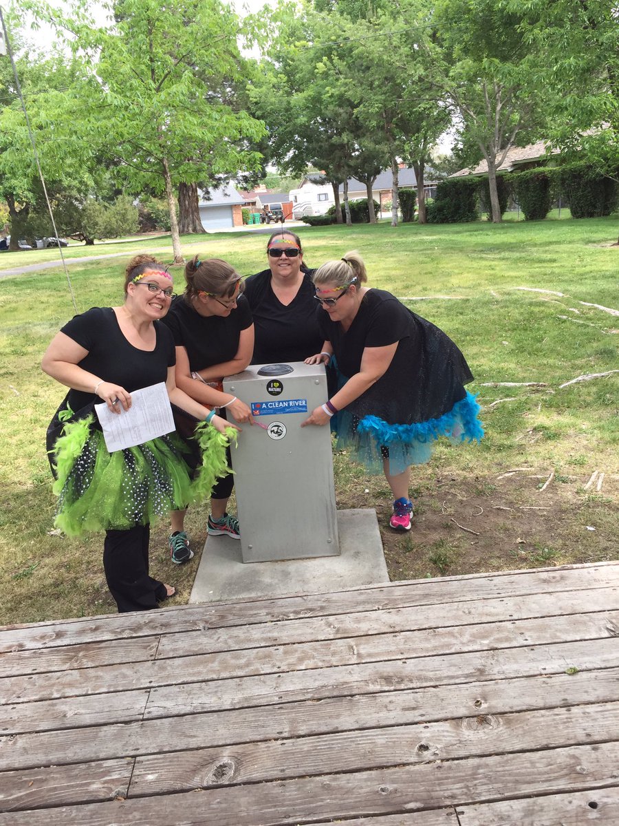 TooInspiredCHKS's tweet photo. @tmparksfound #QuailQuest #tooinspiredchks #59 https://t.co/i2THZL1MeO