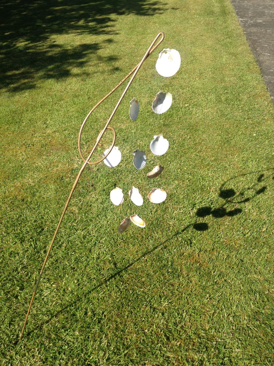 jgmwalsh's tweet photo. Cecilia's garden ornament wind chimes were replaced with fishing line and #chlamys #opercularis shells https://t.co/dvv1sXvzsi