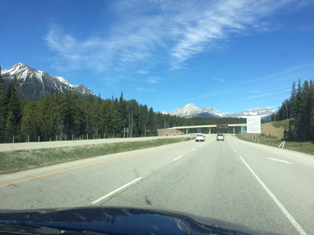 SCWestEd's tweet photo. It's a 250km drive to get to my leg of the #banffjasperrelay race! JustBE is currently in 2nd and gunning for 1st! https://t.co/mCveDliB7o
