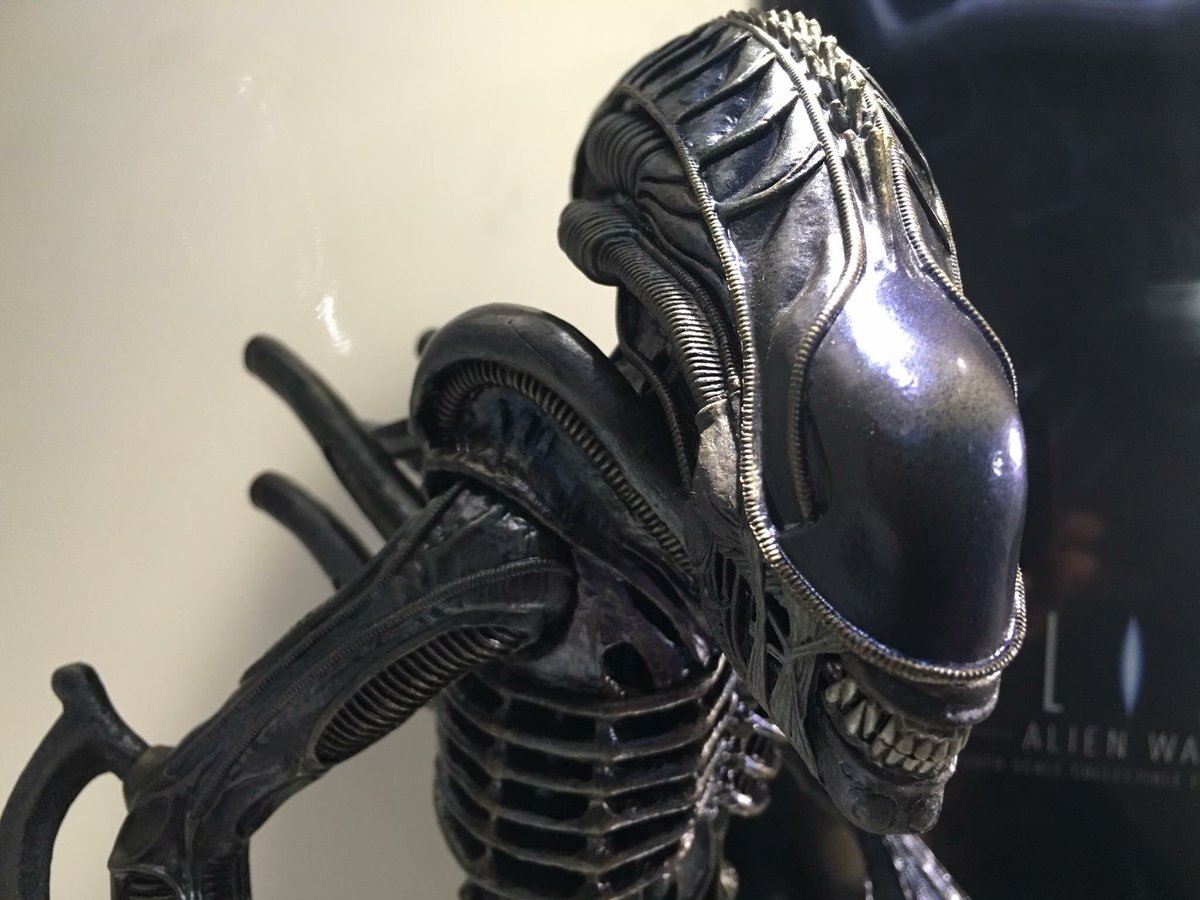 AFigureFoco's tweet photo. Lançado hoje em HK a figura Alien Warrior 1:6

#Alien #Movies #cinema #oss #hottoys  #osr  #actionfigures https://t.co/Vd45DErdTh