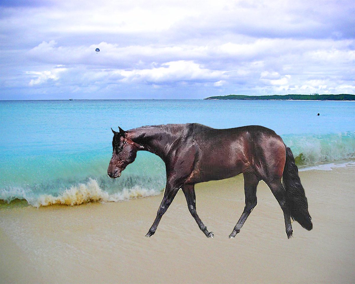 MakingSweetsAU's tweet photo. #Quiz: Which #chocolate bar was named after a horse? A. #Twix B. #Snickers C. #Bounty
(📷: https://t.co/tRxRDHeg5Z) https://t.co/q3xhTSkTim