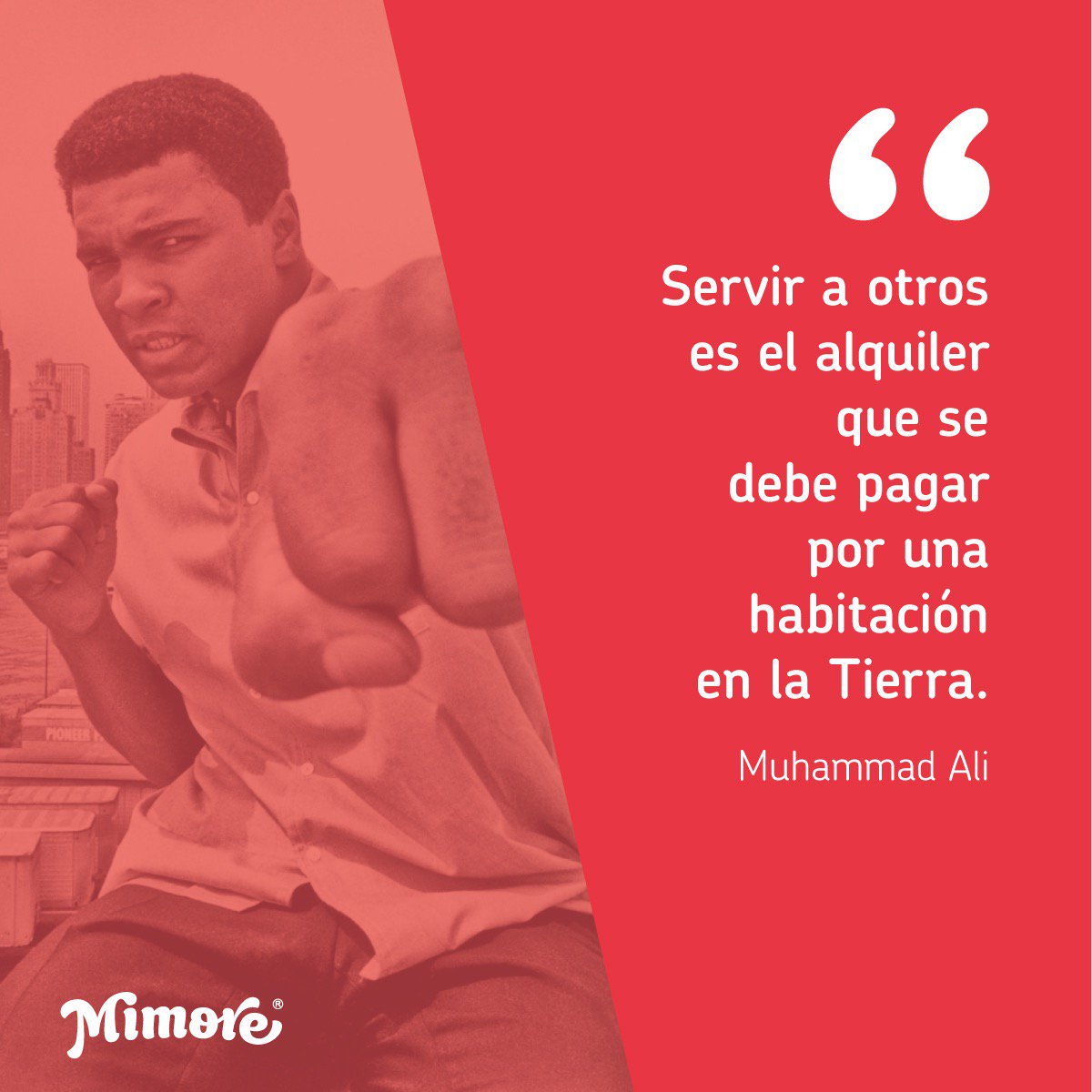 MimoreMx's tweet photo. Se ha ido una leyenda en el mundo del deporte y del boxeo. El gran @MuhammadAli #RIPMuhammadAli #Mimore https://t.co/UveAVpoSFn