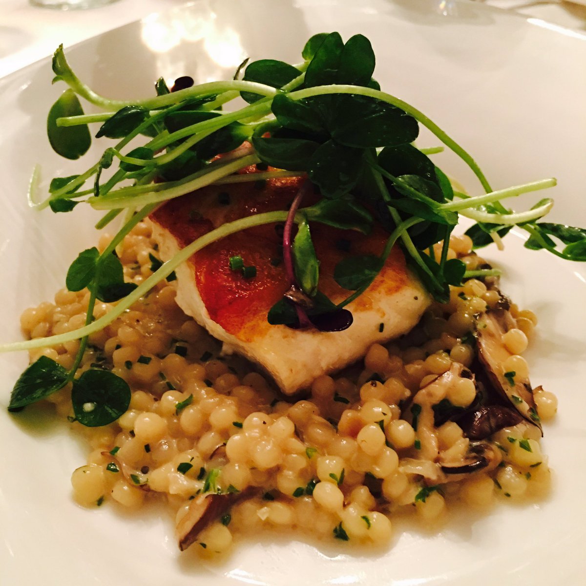 3rd Course <a href="/ShawsHotel/">Shaw's Hotel</a> soft open:Halibut, Israeli couscous ragu, lemon &amp; shallot dressed pea shoots. #PEI