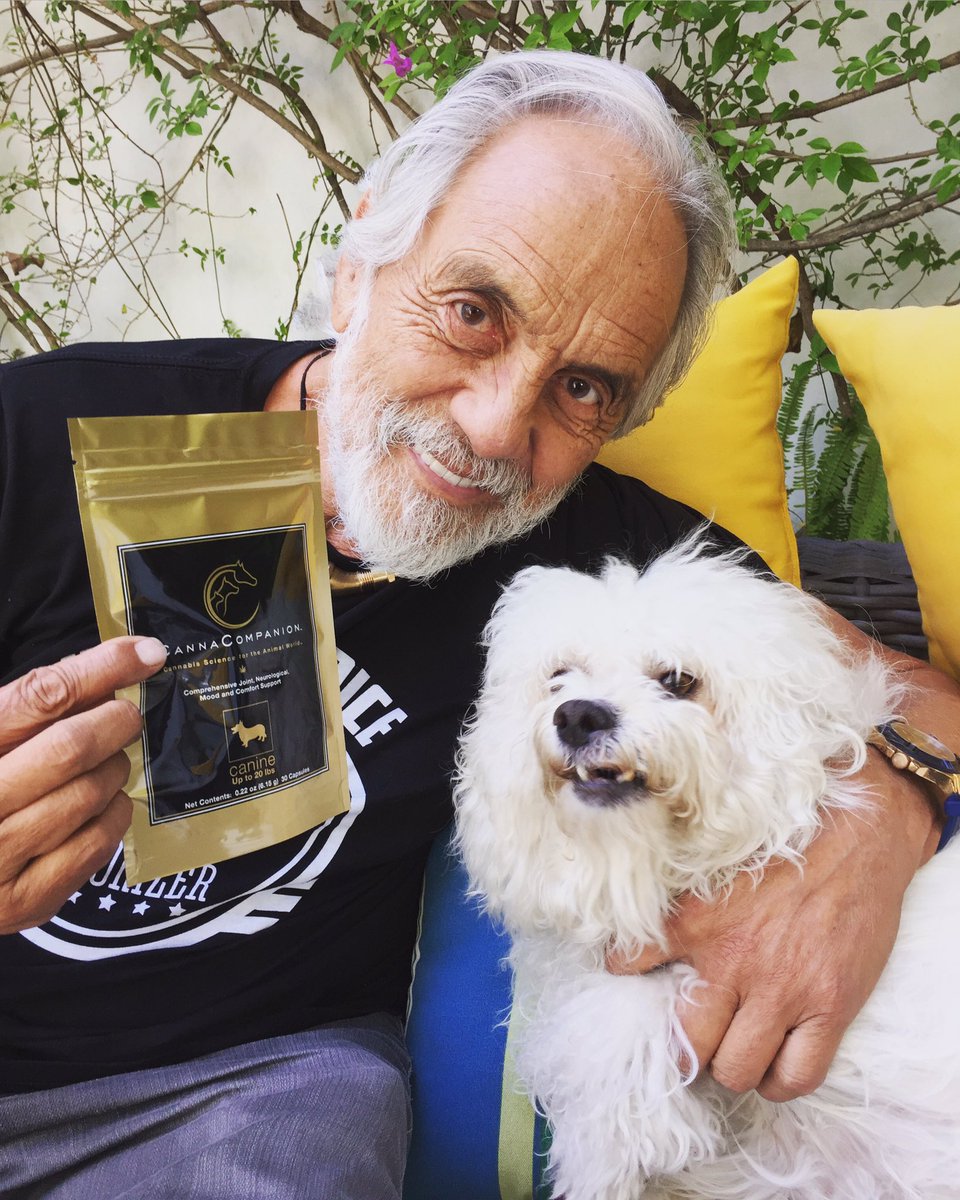 tommychong's tweet photo. Hey Friends, do your pets a favor and check out https://t.co/jtFRYhXn4w https://t.co/kSFlQbh4F0