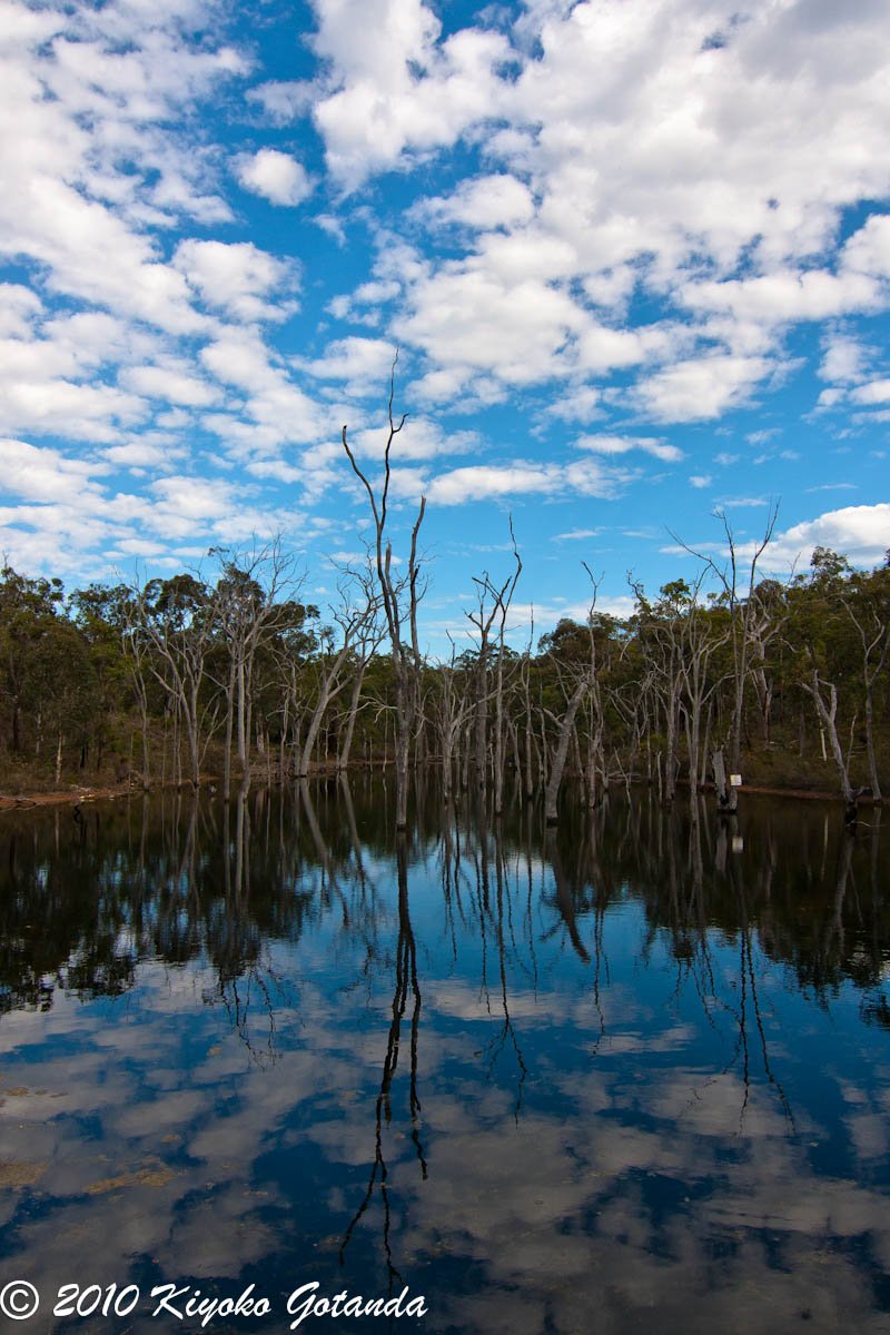 photopidge's tweet photo. A wonderful trip through #ParumaNationalPark in #WesternAustralia #Autralia #landscape #reflection #Paruma https://t.co/2glZSJOKIt