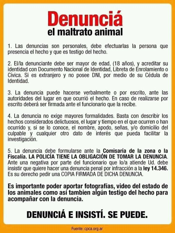 Elloco2020's tweet image. Denuncia el Maltrato animal. 
No te calles habla 
Los animales son nuestros amigos 
Denuncia el abandono