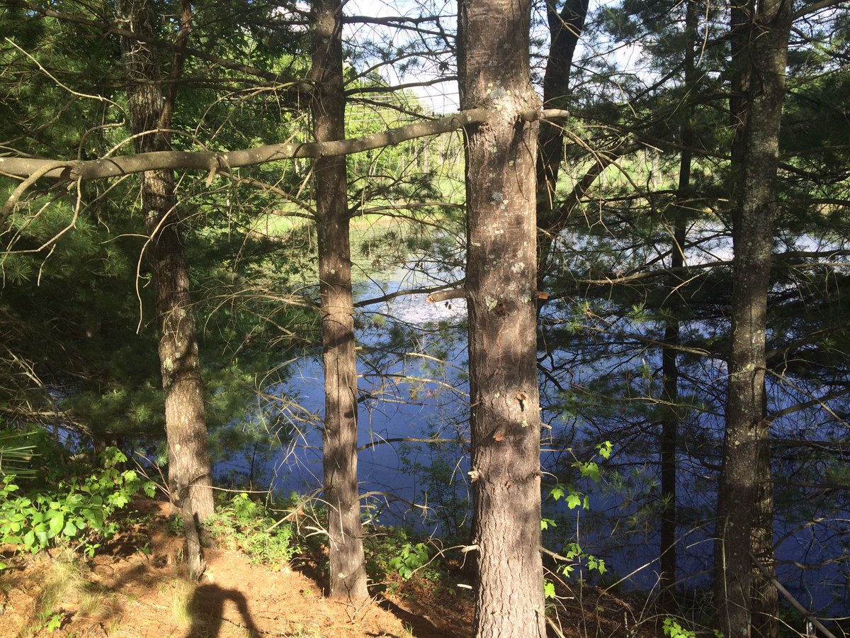 MASstrike212's tweet photo. https://t.co/rRIxjCg9Ib