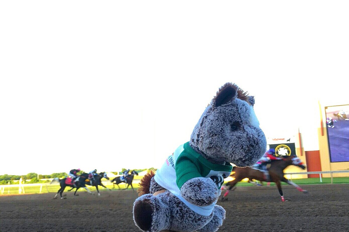 therpblaze's tweet photo. I haven't won a race yet, but I'm staying neck and neck w/ the best of em @RemingtonPark! #WinnerAtHeart #ClosingDay https://t.co/XkdbnzYdAy