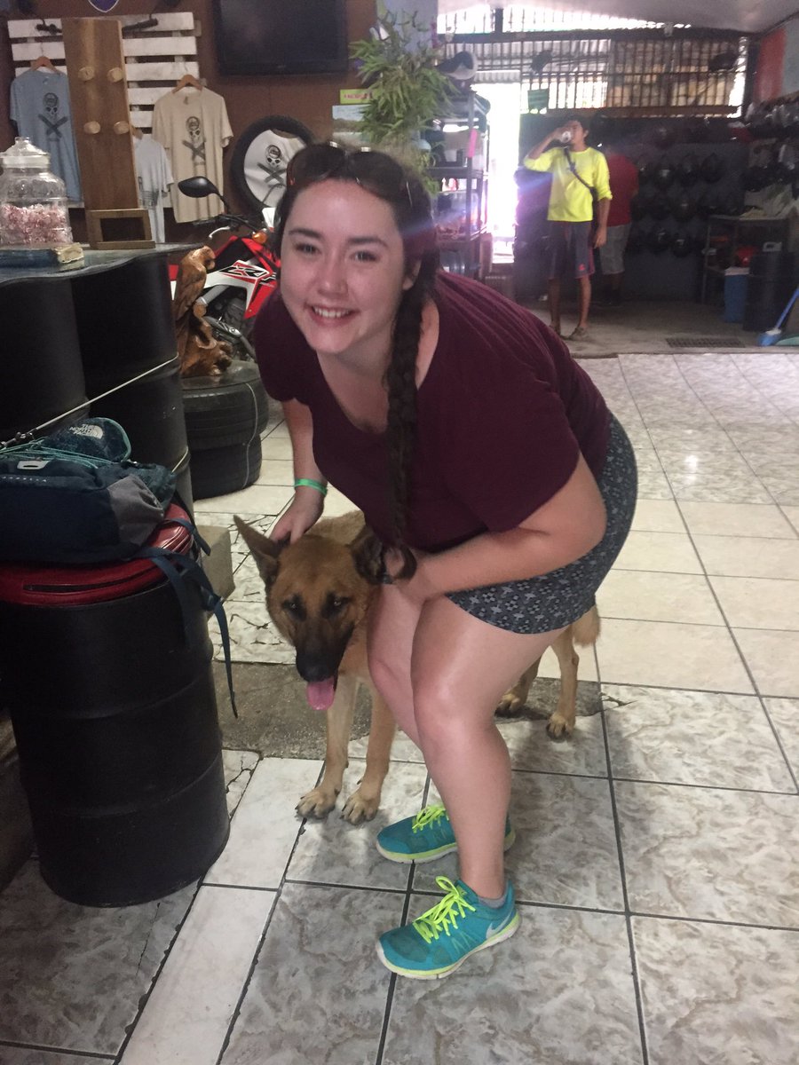 MaeMaeCRproject's tweet photo. Sam and Rex! Again, loving all the dogs in this wonderful country #puravida #wearesouthincostarica https://t.co/hk8HYhycAk
