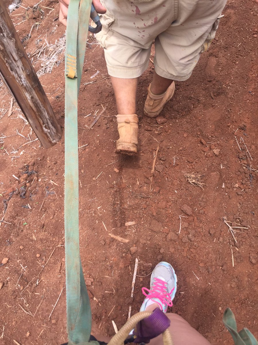 MaeMaeCRproject's tweet photo. I'm on a leash? 😬 #tarzanswing https://t.co/DWH0h5GtM5