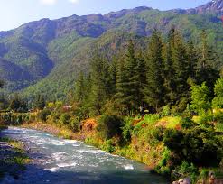 ManuElGalgo's tweet photo. #DiaMundialDelMedioAmbiente Mi pasión, mi vida. Feliz día del medio ambiente. https://t.co/sPsLO7fkN8
