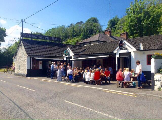 Scenes at the Strawberry Hall this week, perfect sun trap with the perfect pint #dublin #dublinpubs #BestKeptSecret