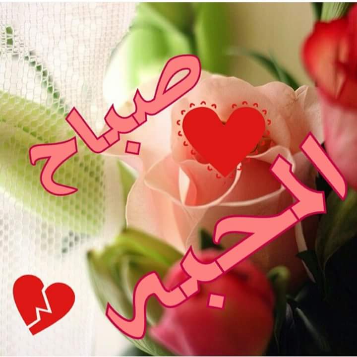 Mhamadalsayd's tweet photo. صباح الخير https://t.co/5wZBggQOn0