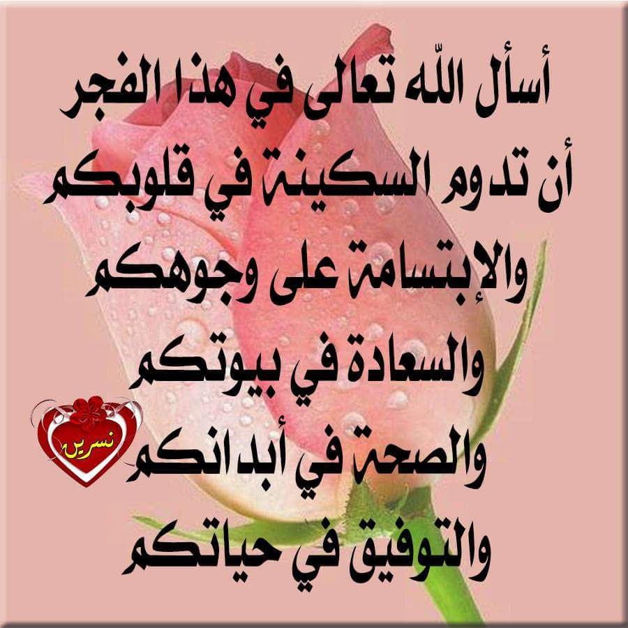 Mhamadalsayd's tweet photo. اسعد الله صباحكم https://t.co/ziL5RnHsh7