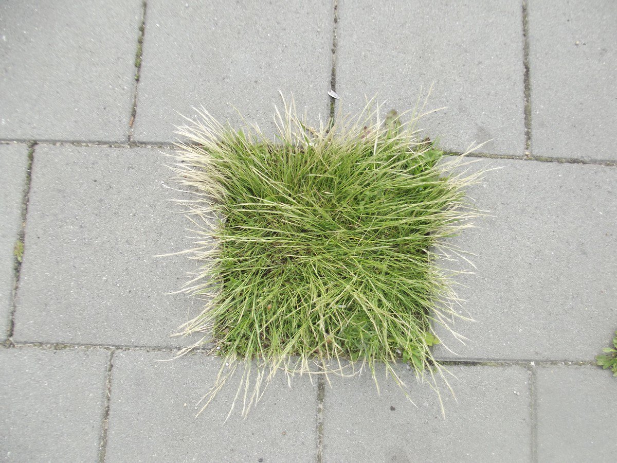 Luchtopname van het kleinste natuurpark van Venlo #stadsnatuur #trots #lievvvvv Niks meer aan doen <a href="/gemeentevenlo/">Gemeente Venlo</a>