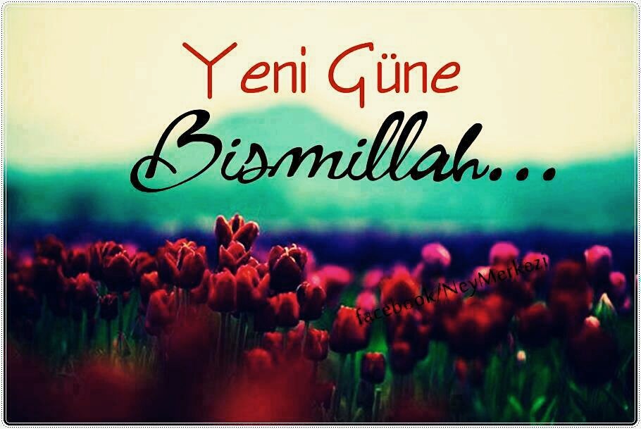 HayriyeTasli's tweet photo. ALLAH'ım !
Uyandırdığın Her Güne
Verdiğin Her Nefese
-Elhamdülillah...

🌷🍃Hayırlı Sabahlar🍃🌷 https://t.co/IlyLPUPNvE